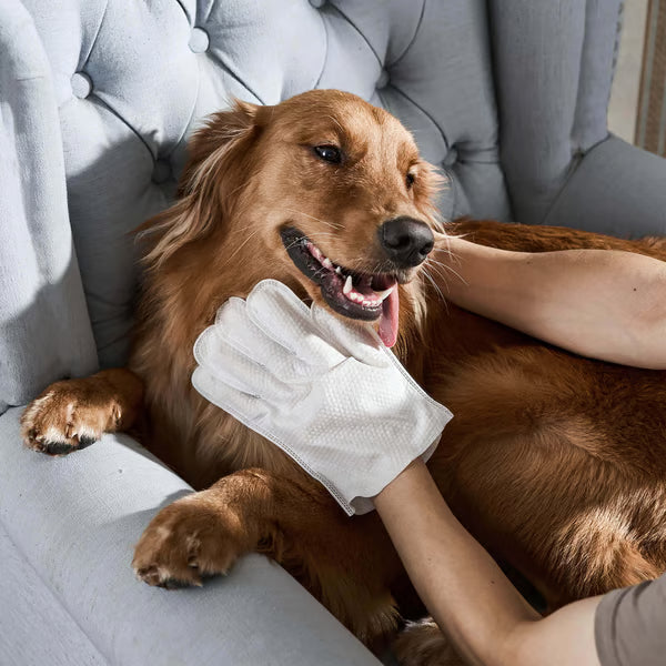 WIPEPAW® Pet Glove Wipes